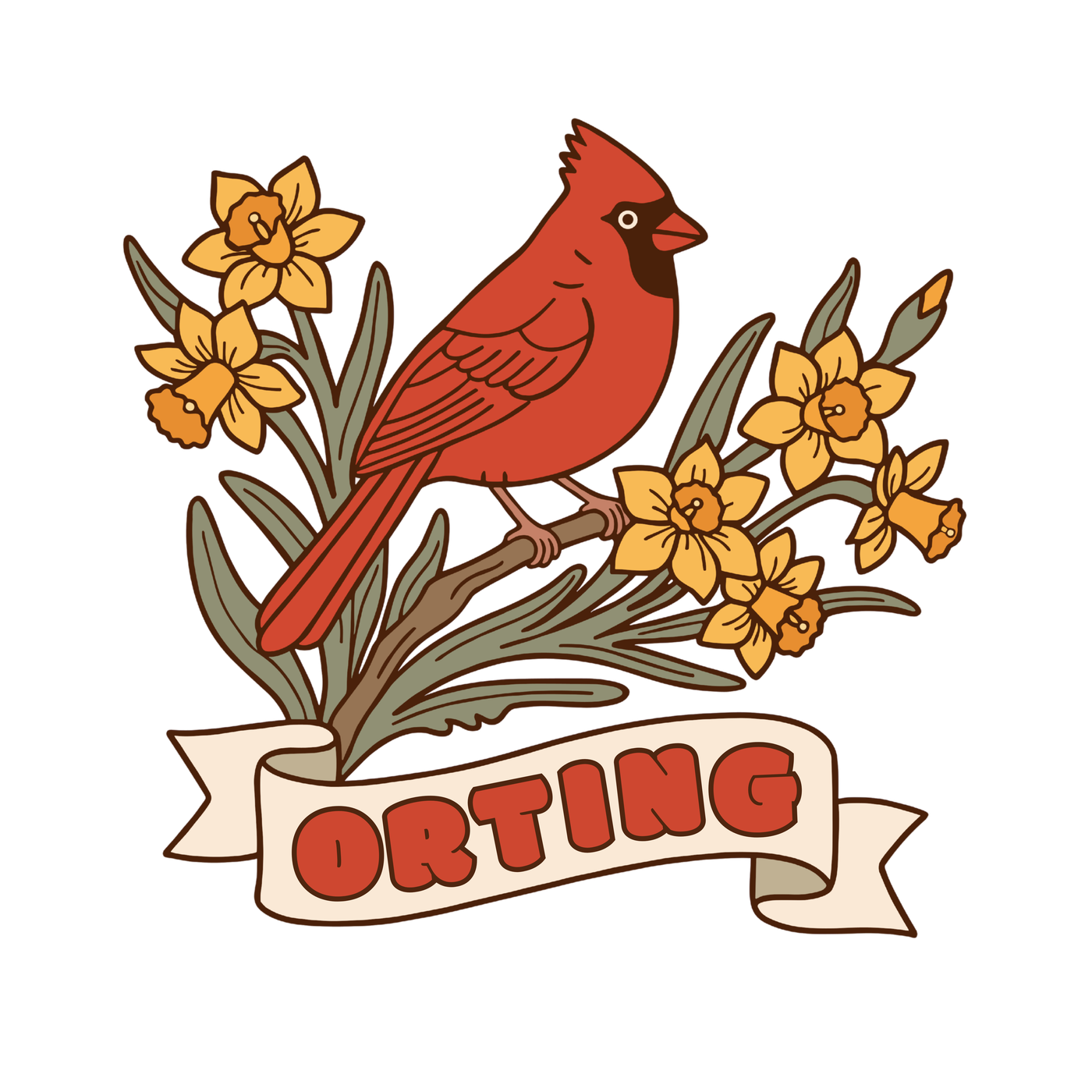 Orting cardinal and daffodils illustration